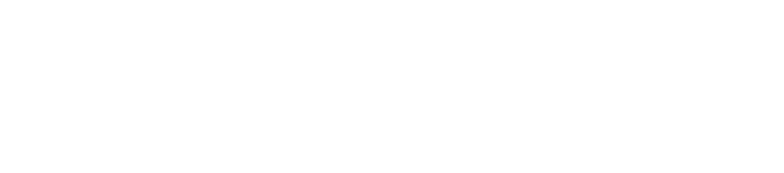 Site logo transparent white